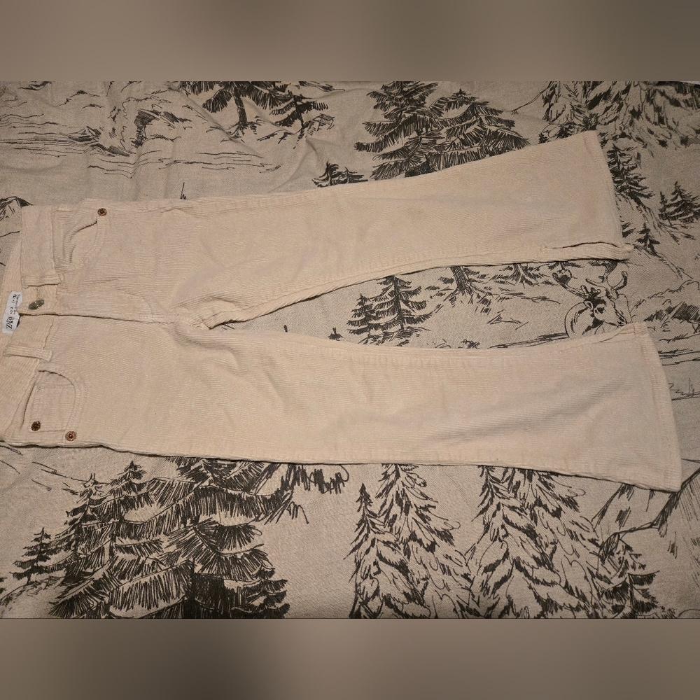 Zara cords